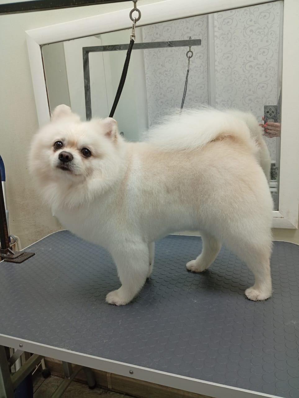 Наши работы